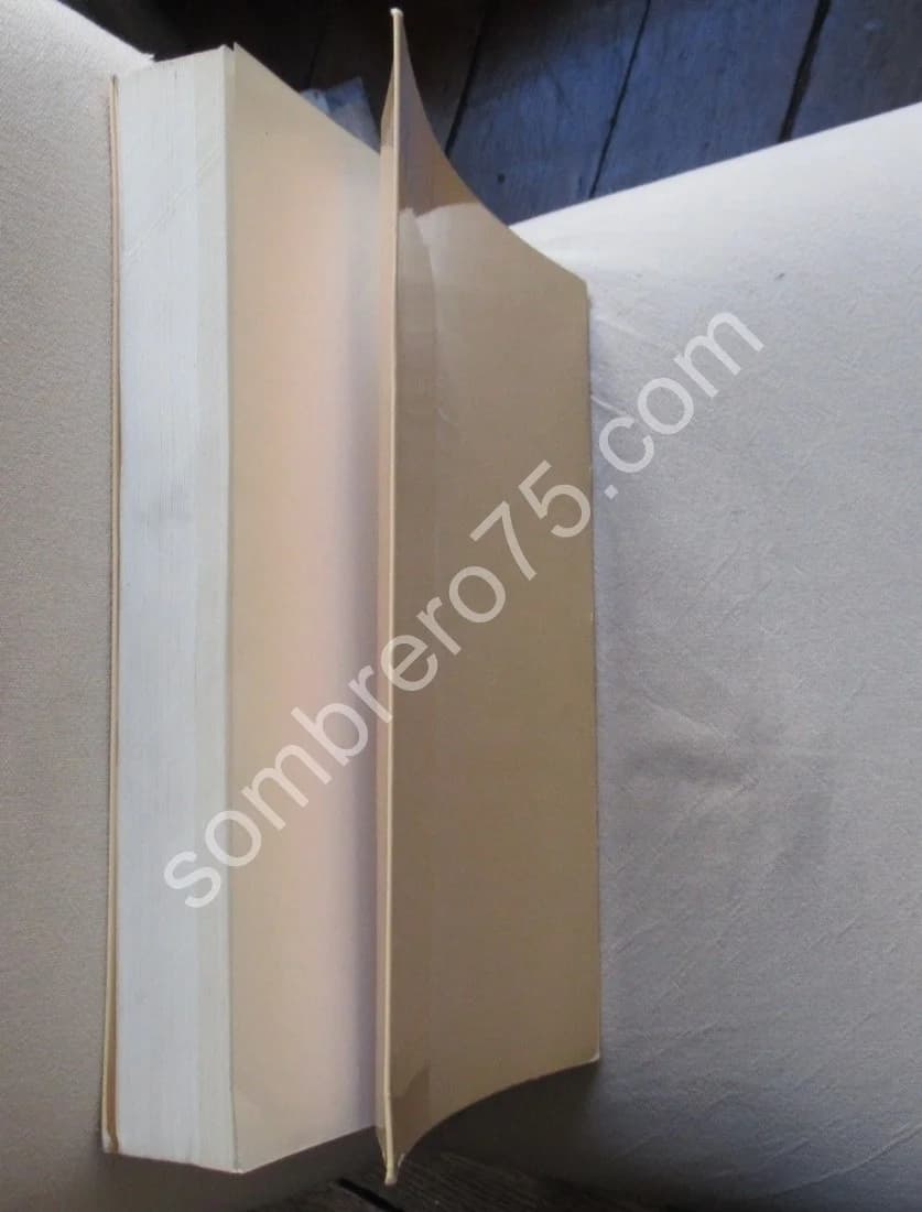 Les Figurines Gallo Romaines en terre cuite au Musée des Antiquités Nationales - Image 8