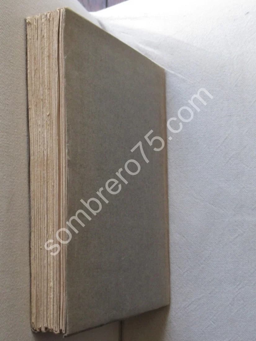 Djami - Le Béharistan. Trad - Image 5