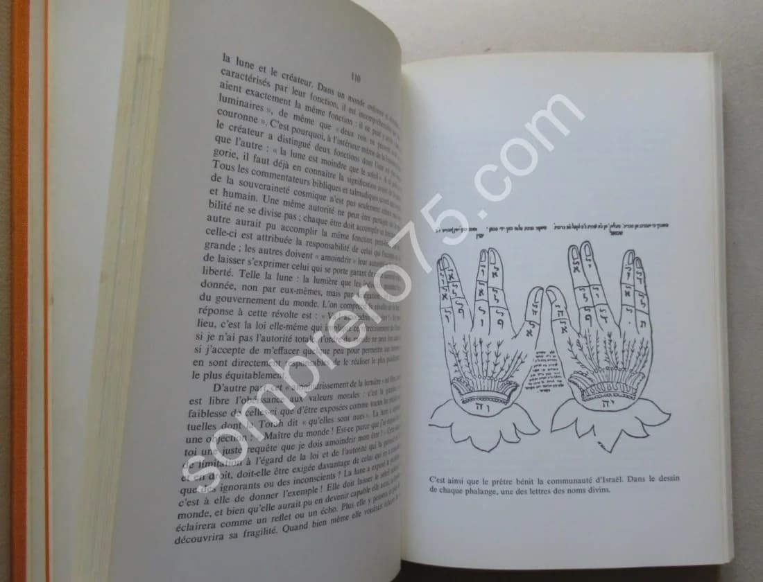 Le Thème de la Lumière dans le Judaïsme le Christianisme et l'Islam - Image 4