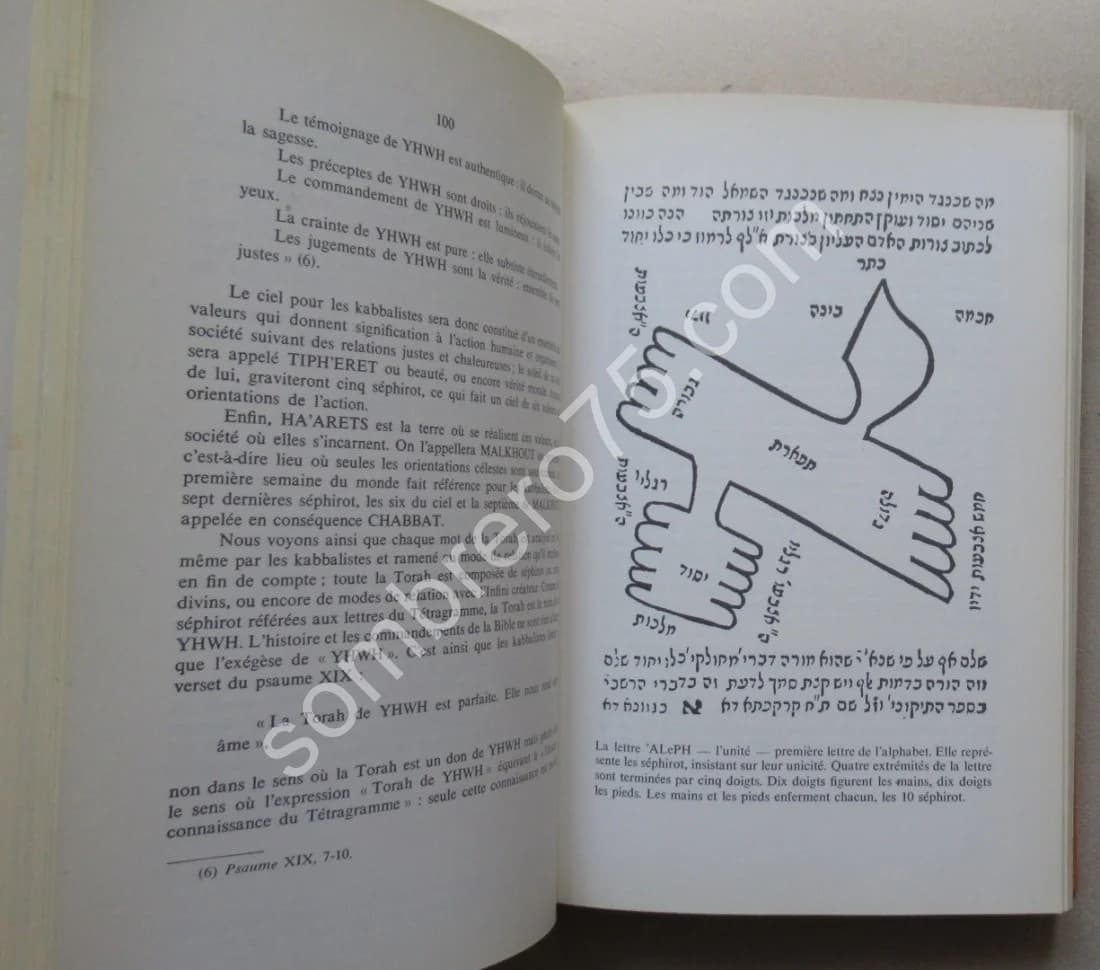 Le Thème de la Lumière dans le Judaïsme le Christianisme et l'Islam - Image 5