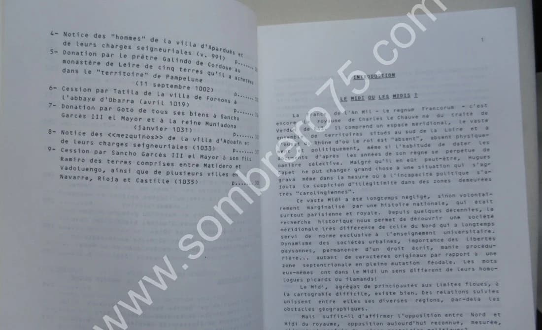 Les Marches méridionales du royaume aux alentours de l'an Mil. Inventaire typologique - Image 7