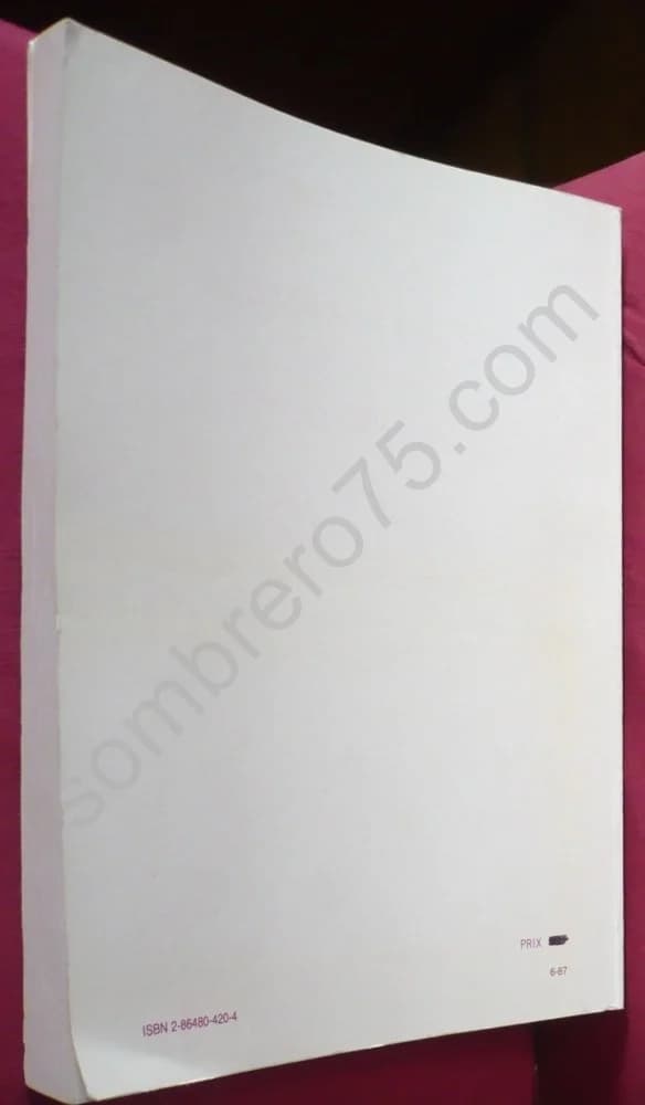 Les Marches méridionales du royaume aux alentours de l'an Mil. Inventaire typologique - Image 8