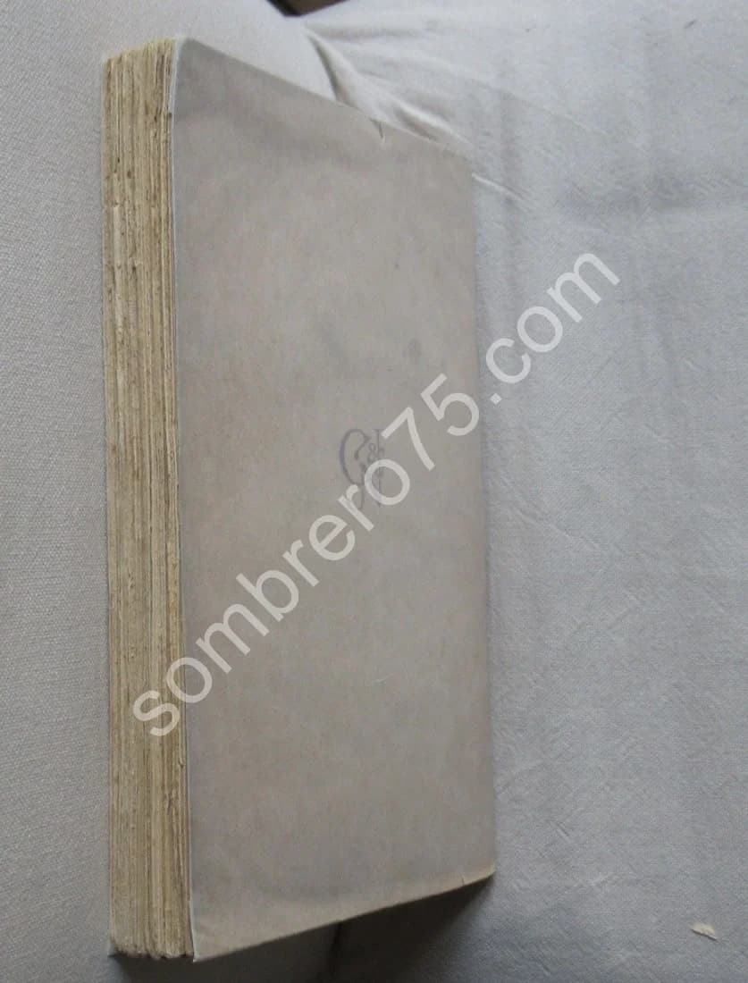 Les Débuts d'un Amateur Photographe - Image 6