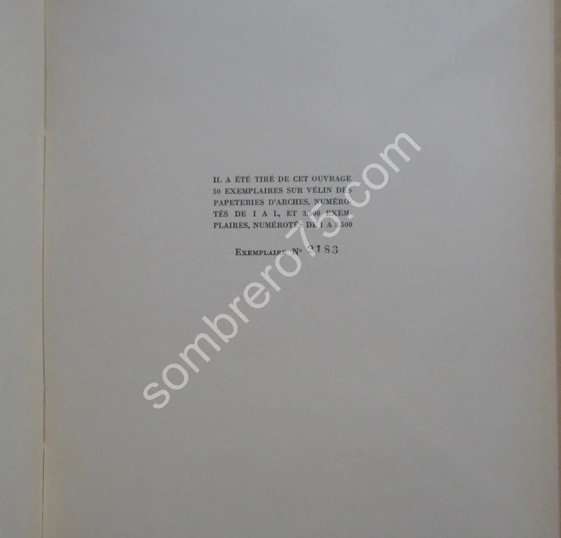 La Gare de l'Est. 1931 - Image 3