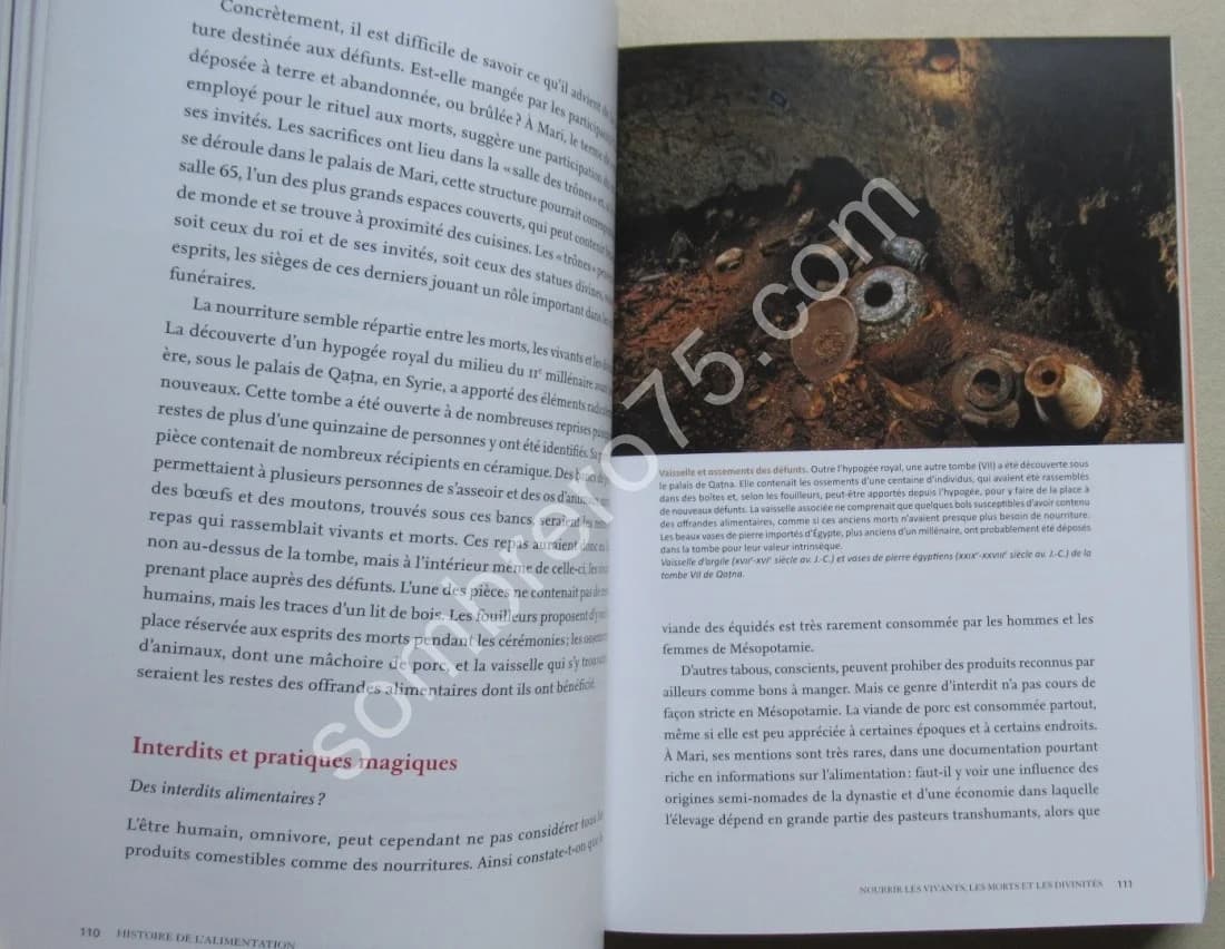 Histoire de l'Alimentation. De la Préhistoire à nos jours - Image 5