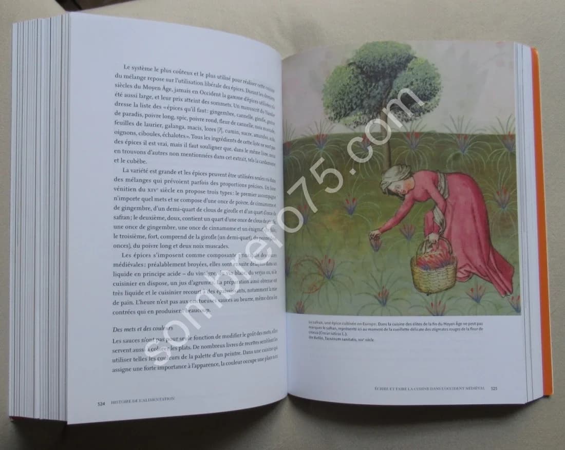 Histoire de l'Alimentation. De la Préhistoire à nos jours - Image 6