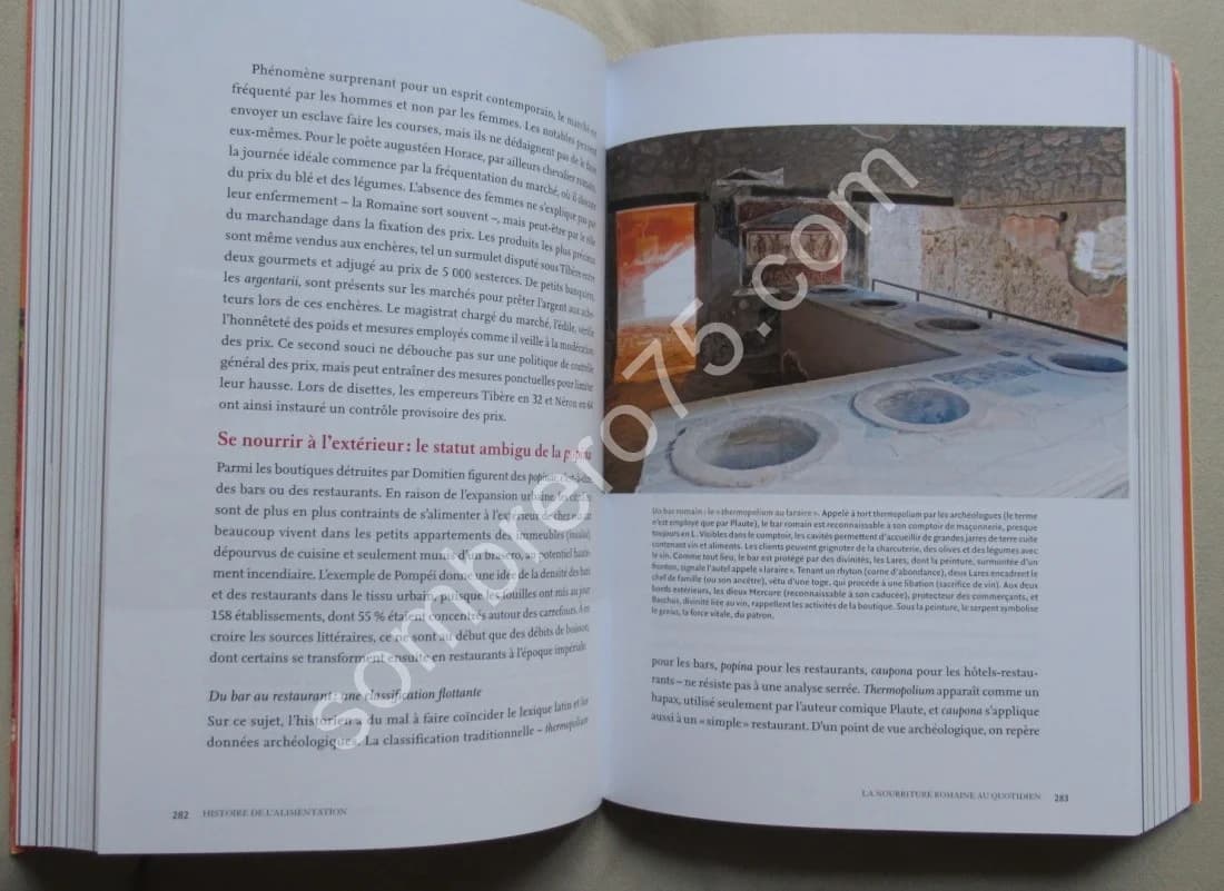 Histoire de l'Alimentation. De la Préhistoire à nos jours - Image 7