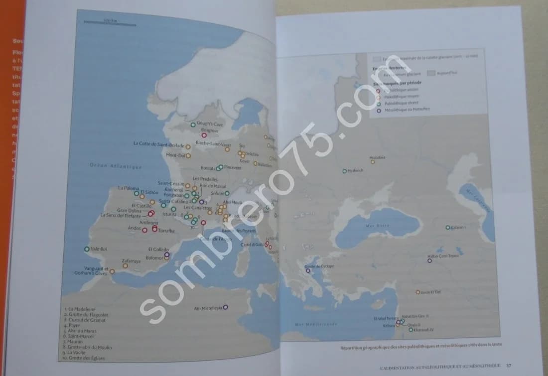 Histoire de l'Alimentation. De la Préhistoire à nos jours - Image 10