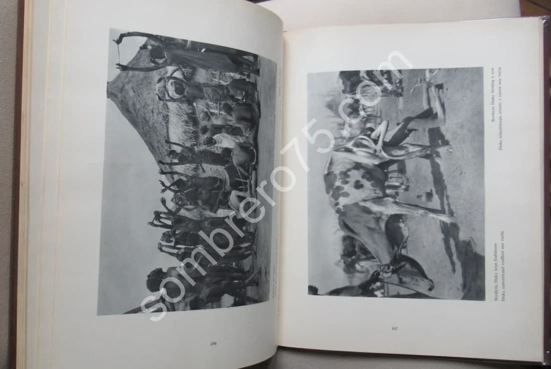 L'Afrique Equatoriale. Types et paysages. Hugo A. BERNATZIK - Image 8