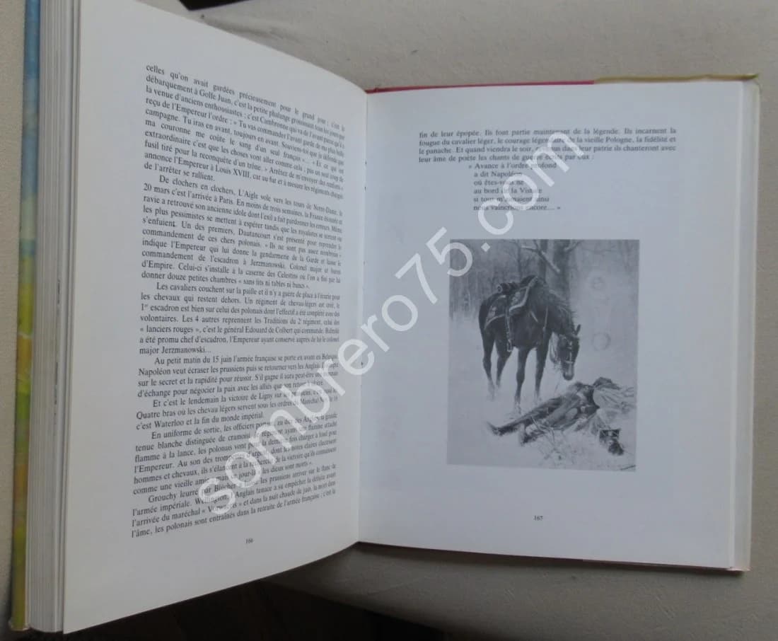 Les Polonais de Napoléon. L'épopée du 1er régiment de lanciers - Image 4