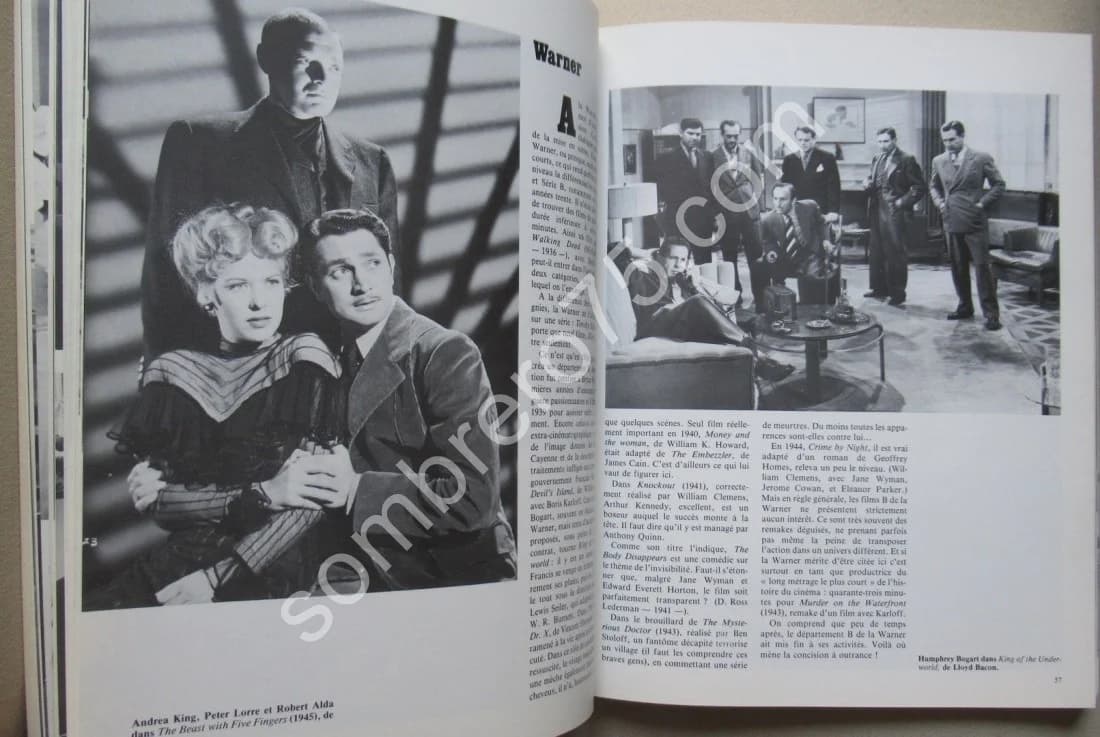 Série B Cinématographiques - Image 6