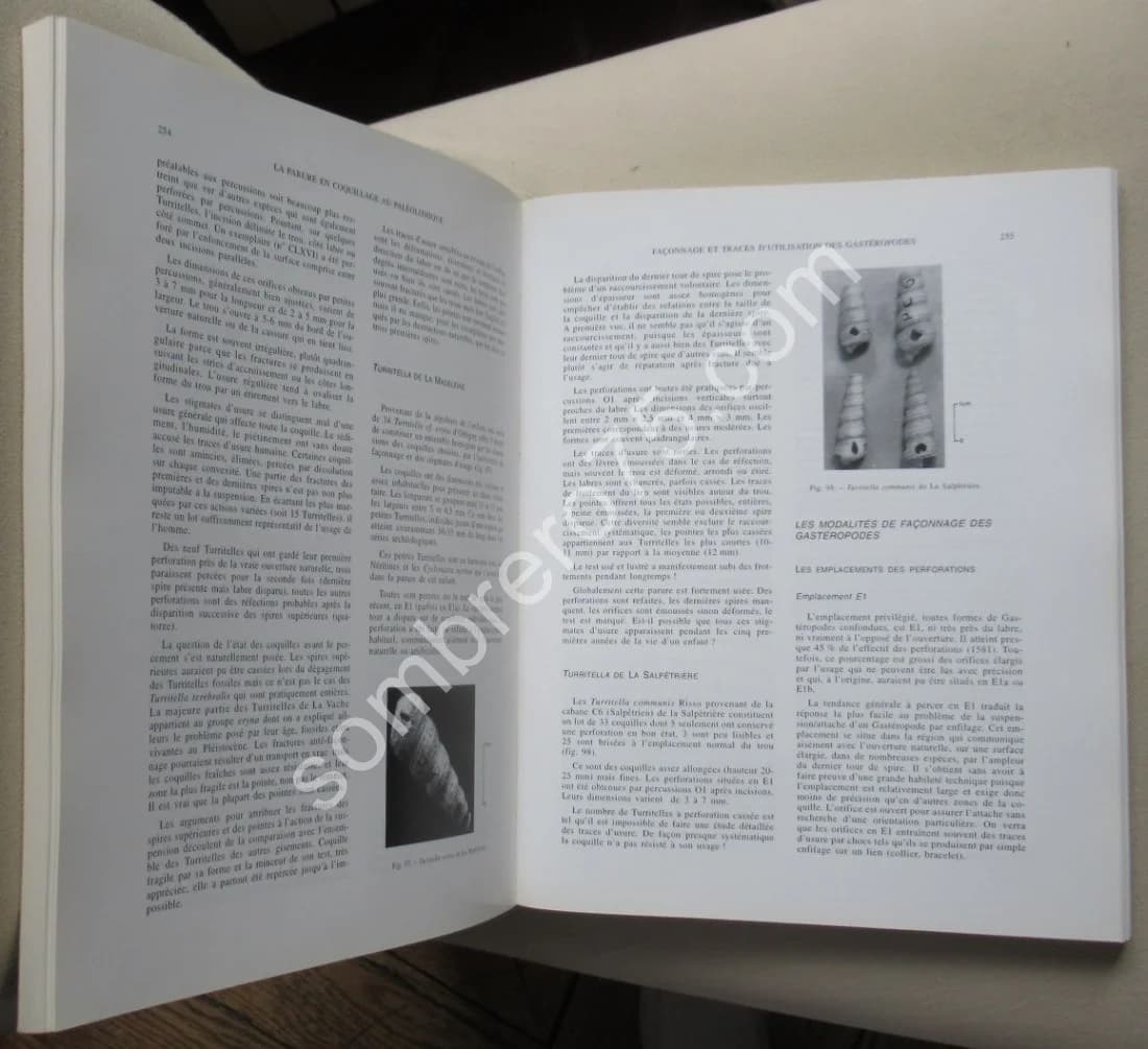 La Parure en Coquillage au Paléolithique. Y. TABORIN - Image 4