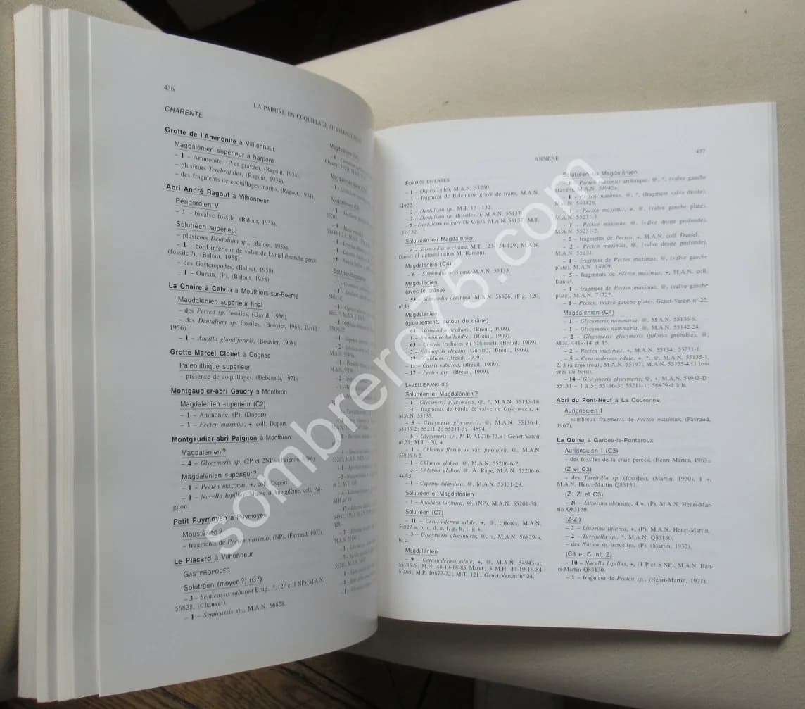 La Parure en Coquillage au Paléolithique. Y. TABORIN - Image 5