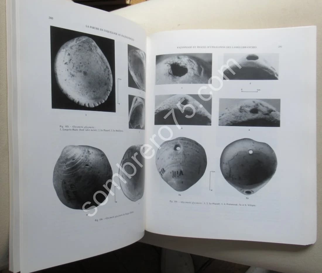 La Parure en Coquillage au Paléolithique. Y. TABORIN - Image 6