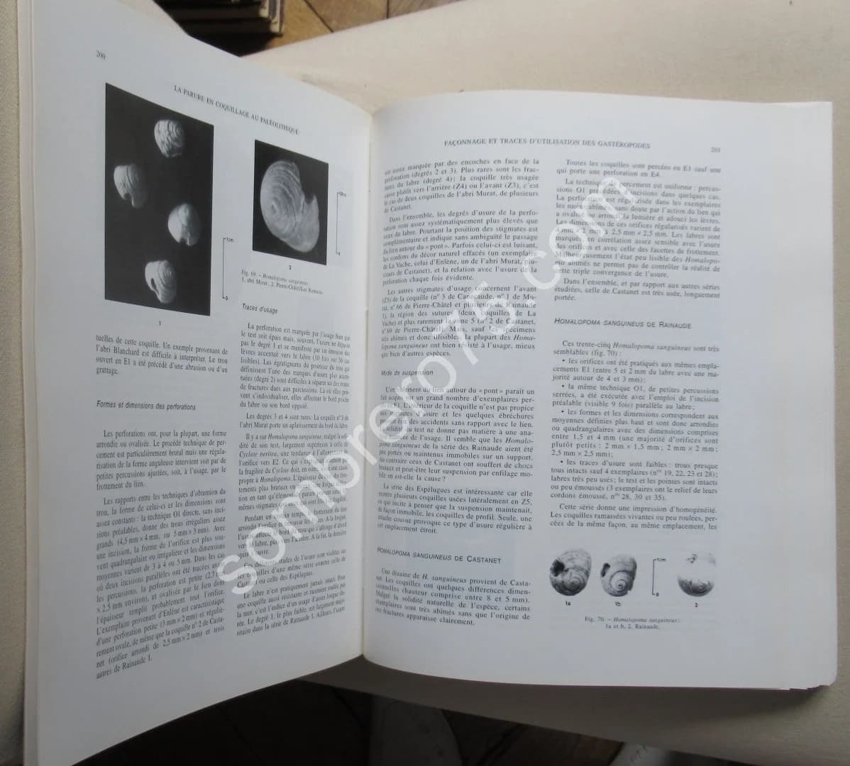 La Parure en Coquillage au Paléolithique. Y. TABORIN - Image 7