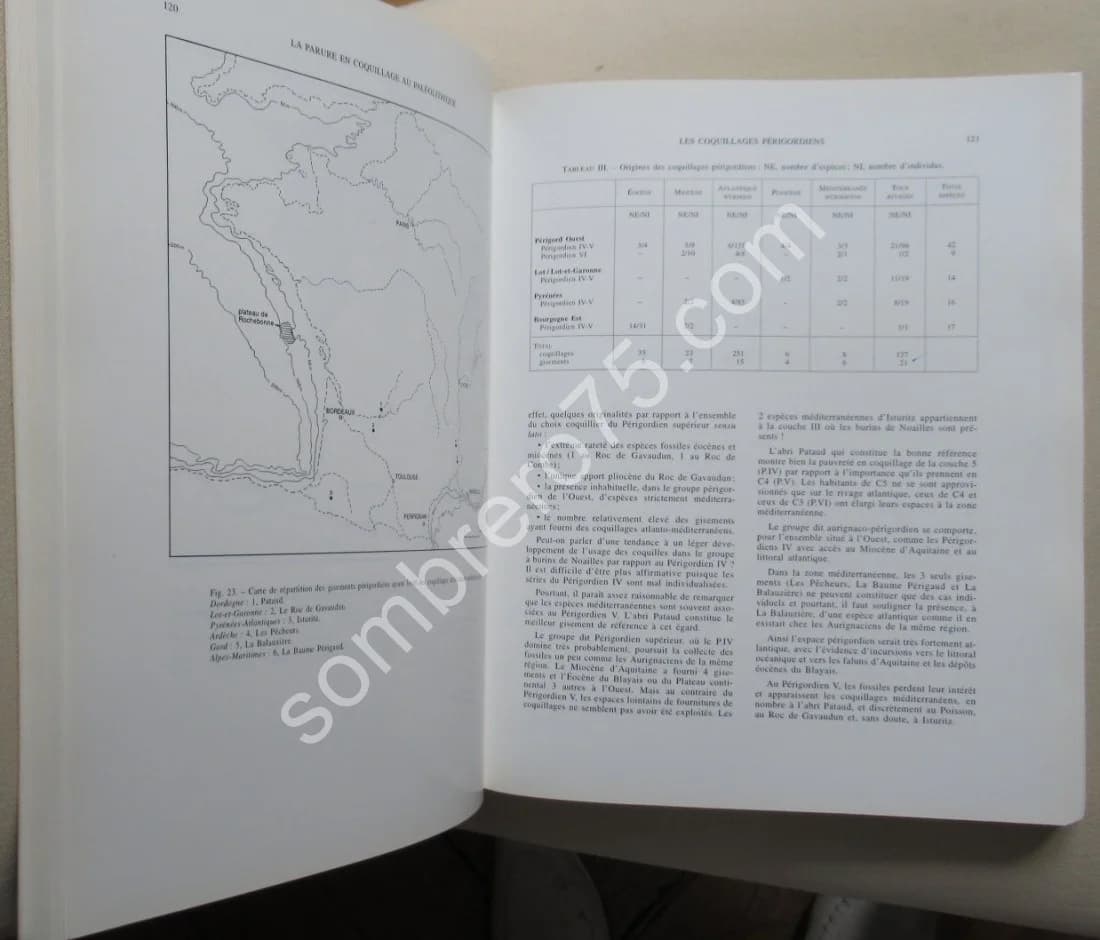 La Parure en Coquillage au Paléolithique. Y. TABORIN - Image 8