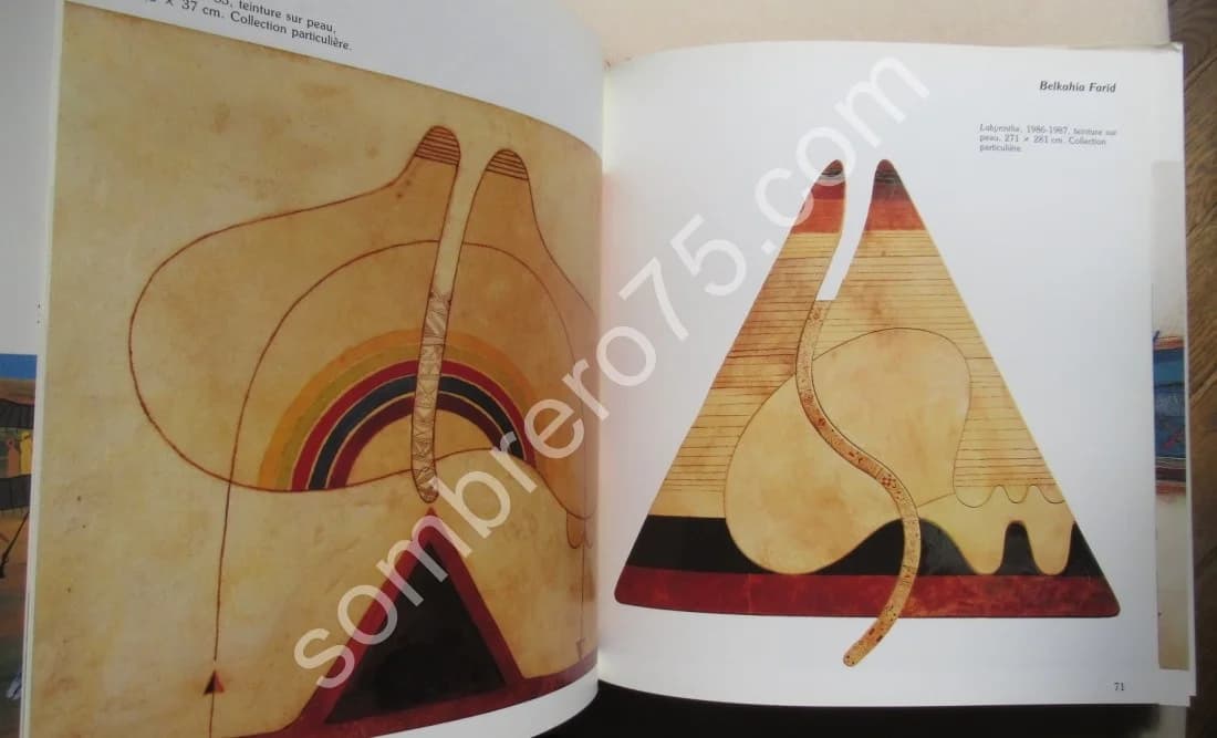 L'Art Contemporain au Maroc - Image 5