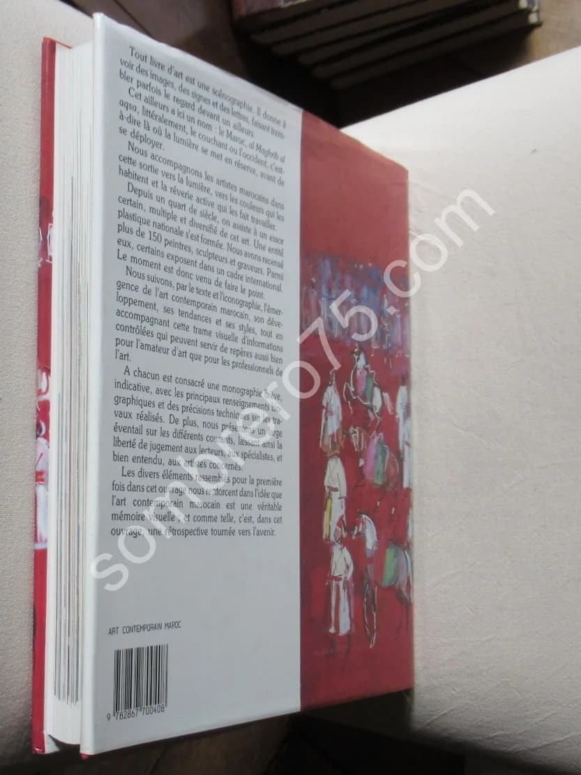 L'Art Contemporain au Maroc - Image 9