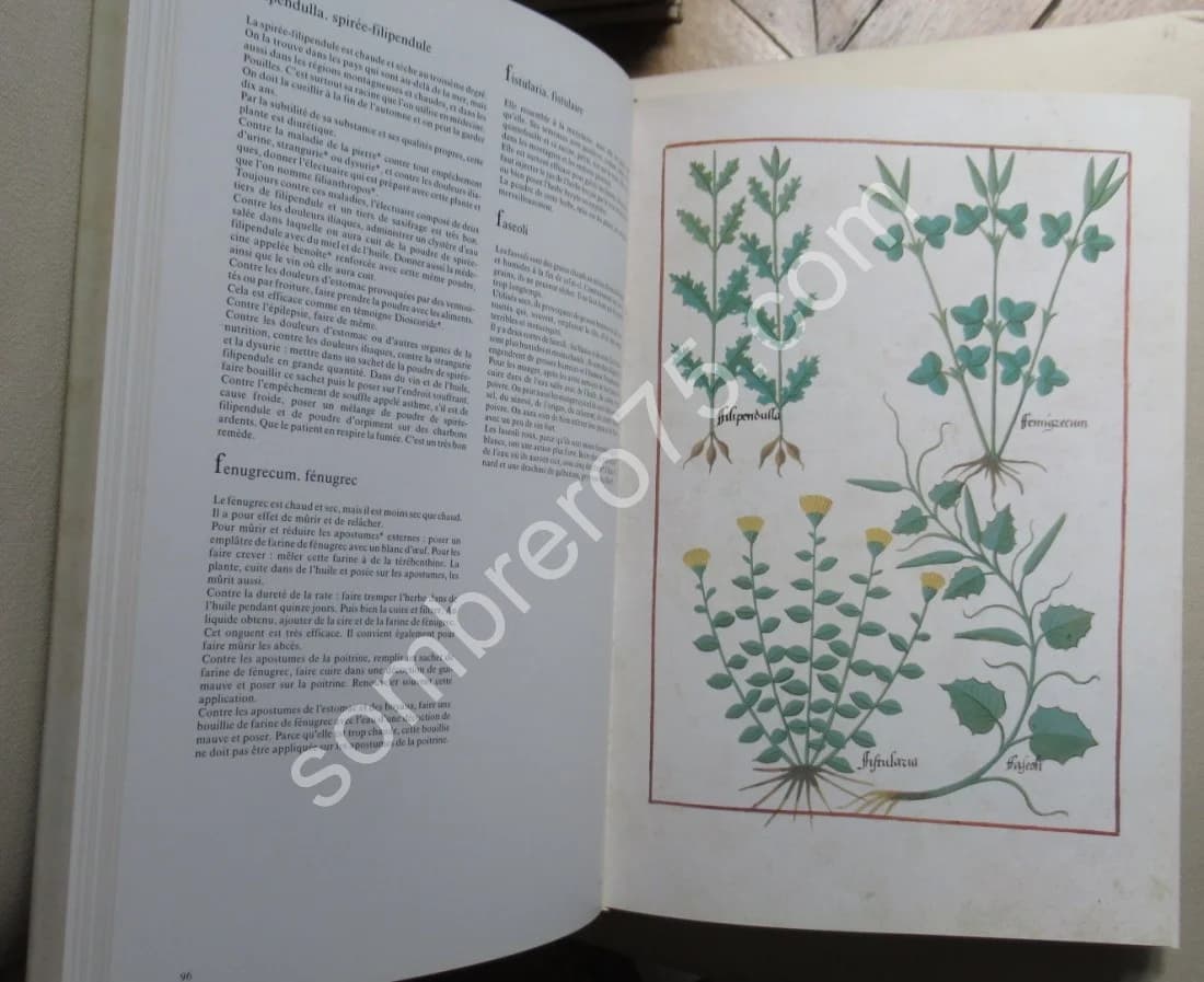 Le Livre des Simples Médecines. Matthaeus Platéarius. Gh MALANDIN - Image 3