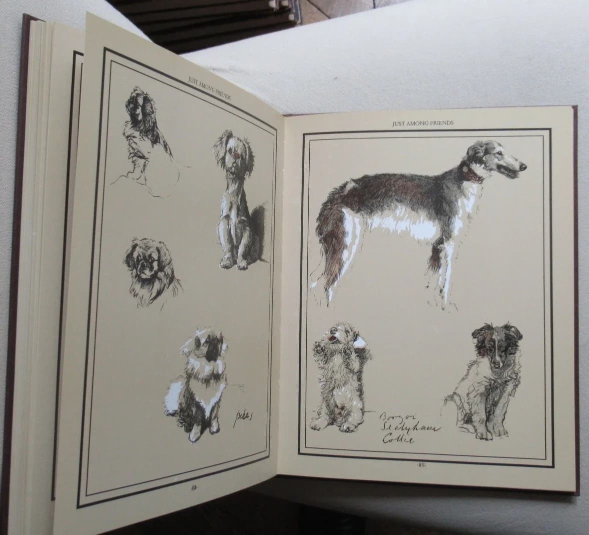 Cecil Aldin et les chiens - Image 7