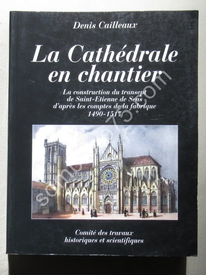 La Cathédrale en Chantier. Construction du Transept de St Etienne de Sens 1490-1517