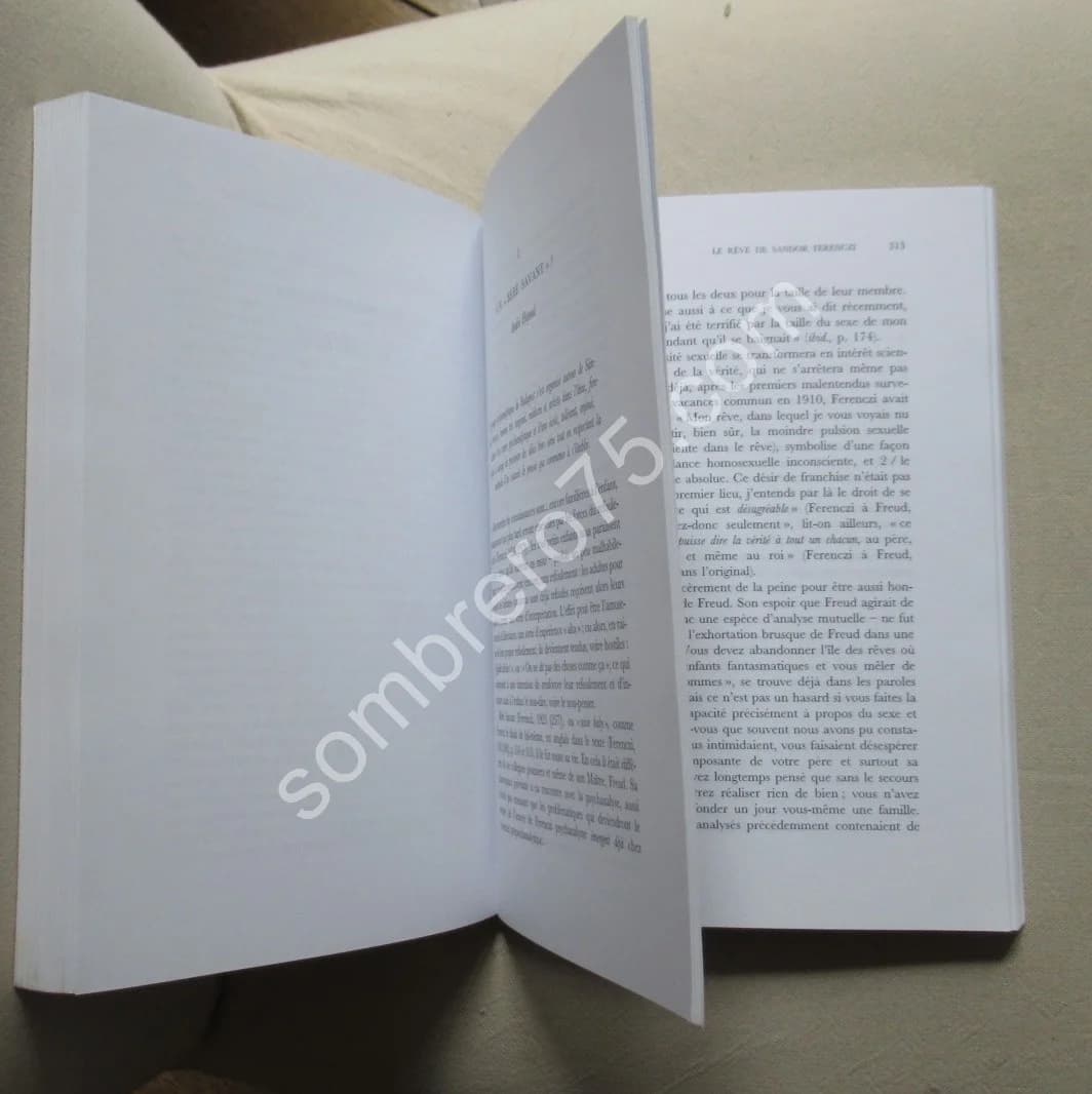 Dans les Secrets de la Psychanalyse et de son Histoire. A HAYNAL - Image 4