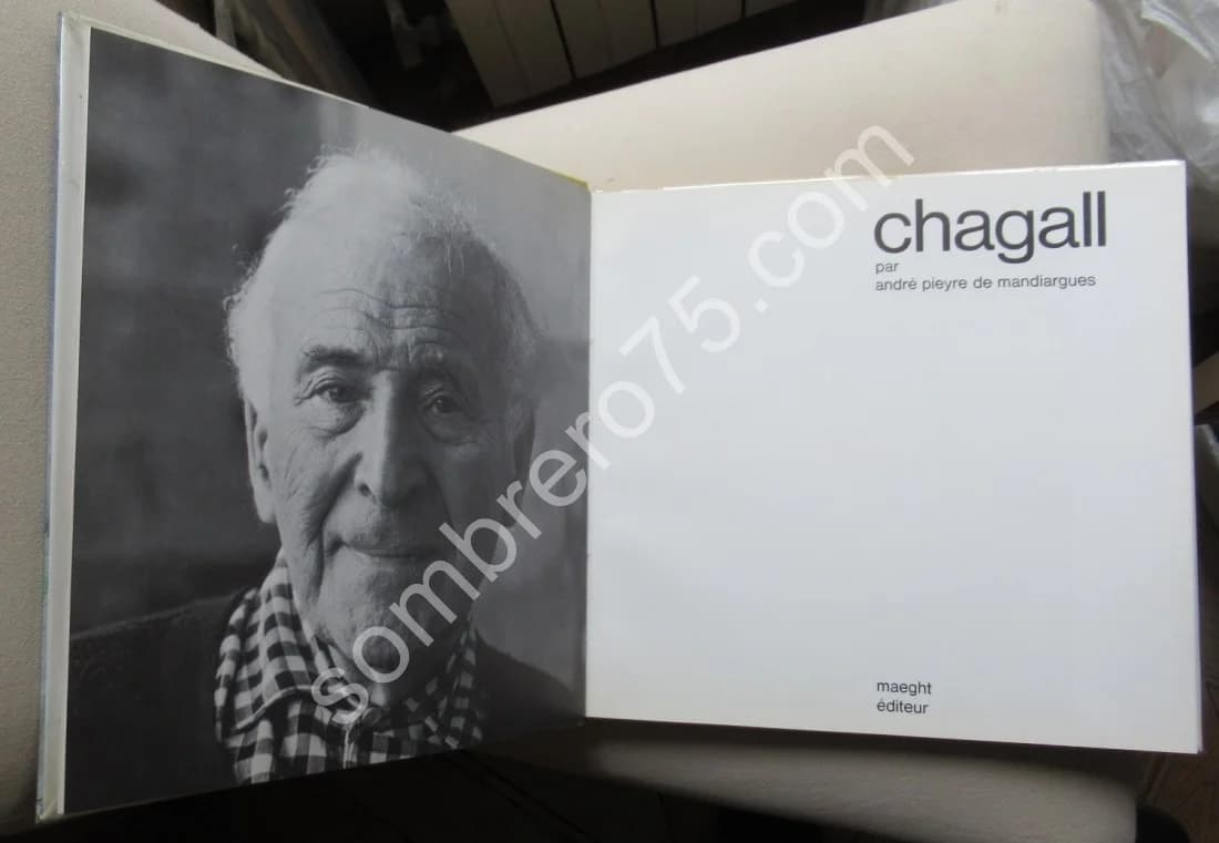 Chagall. Pieyre de Mandiargues - Image 3