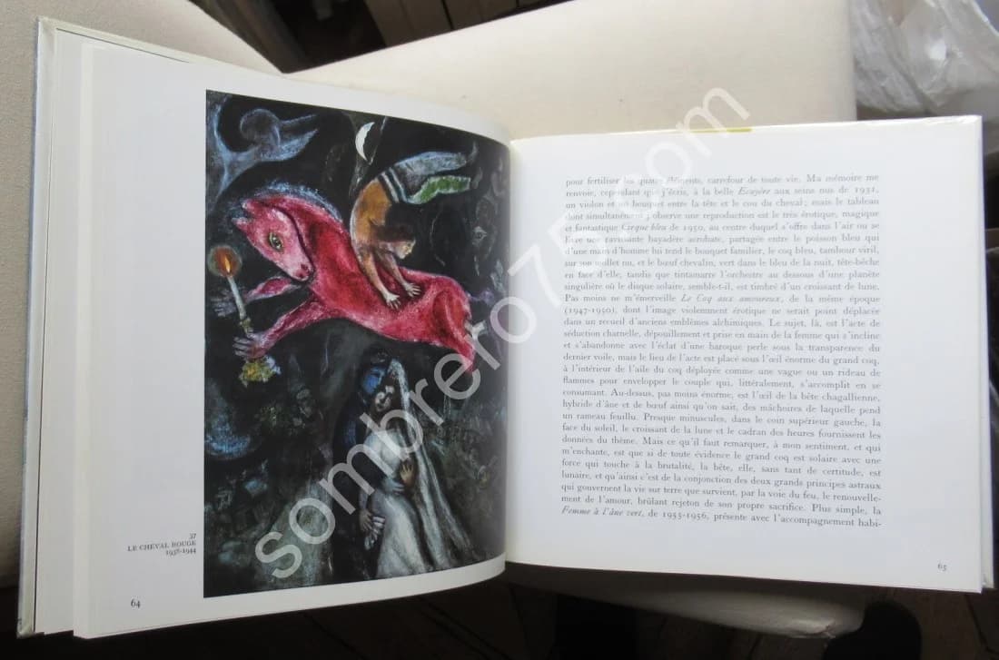 Chagall. Pieyre de Mandiargues - Image 5