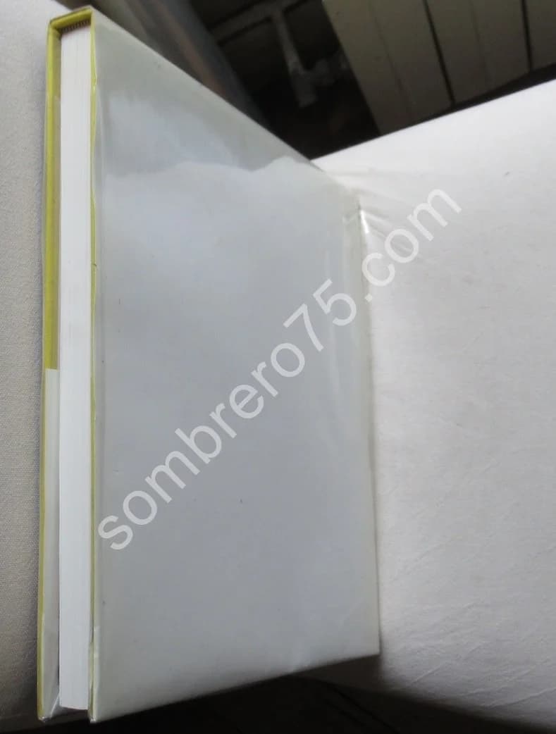 Chagall. Pieyre de Mandiargues - Image 7