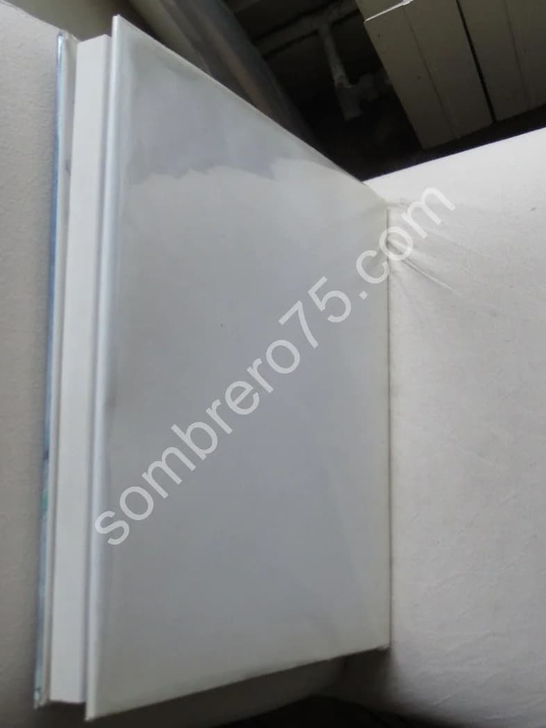 Chagall. Pieyre de Mandiargues - Image 8