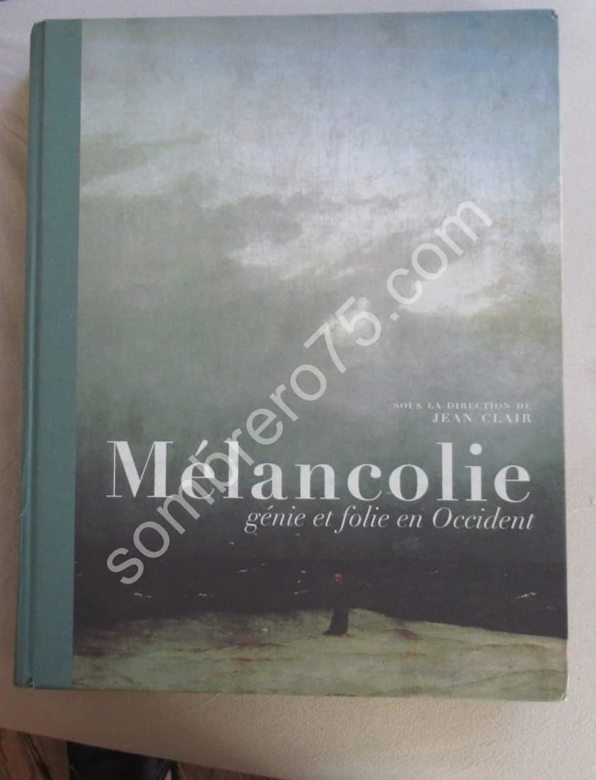 Mélancolie Génie et folie en Occident