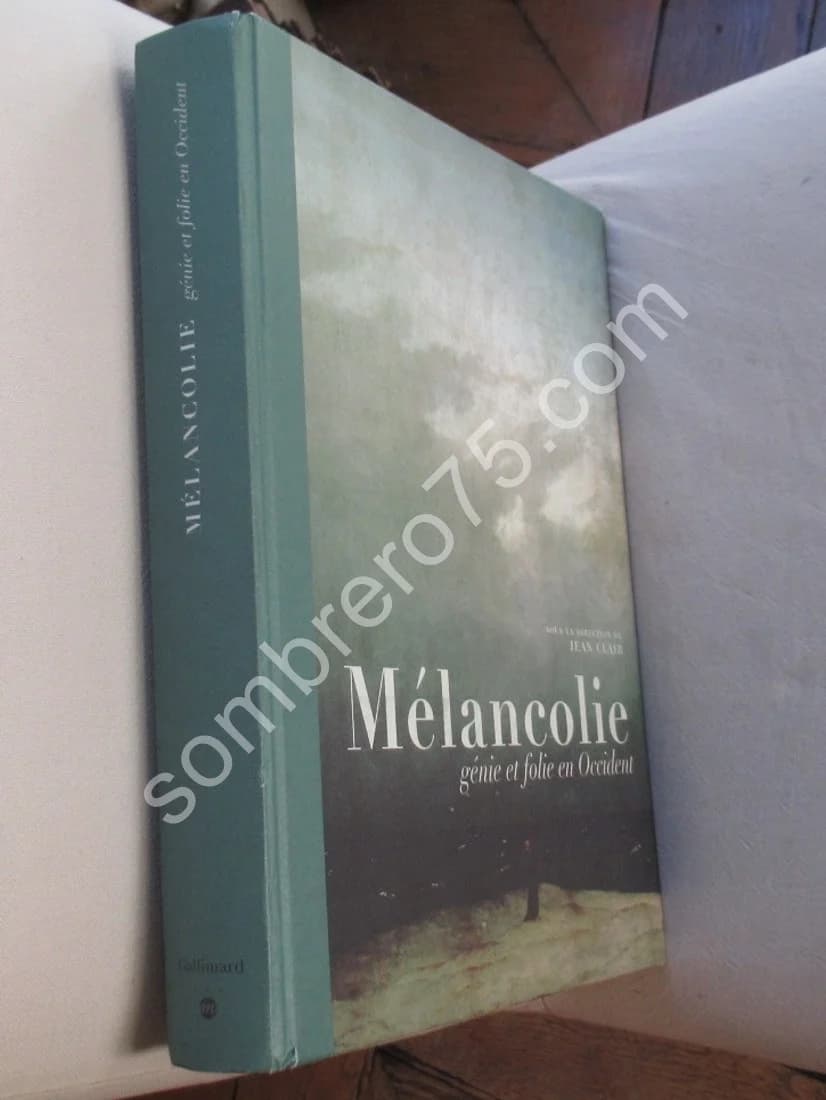 Mélancolie Génie et folie en Occident - Image 2