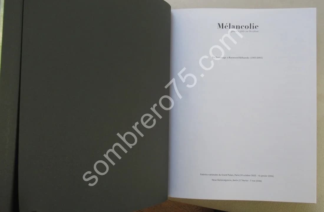 Mélancolie Génie et folie en Occident - Image 3