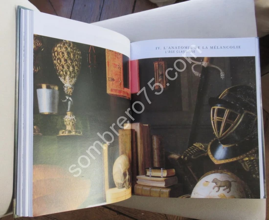 Mélancolie Génie et folie en Occident - Image 5