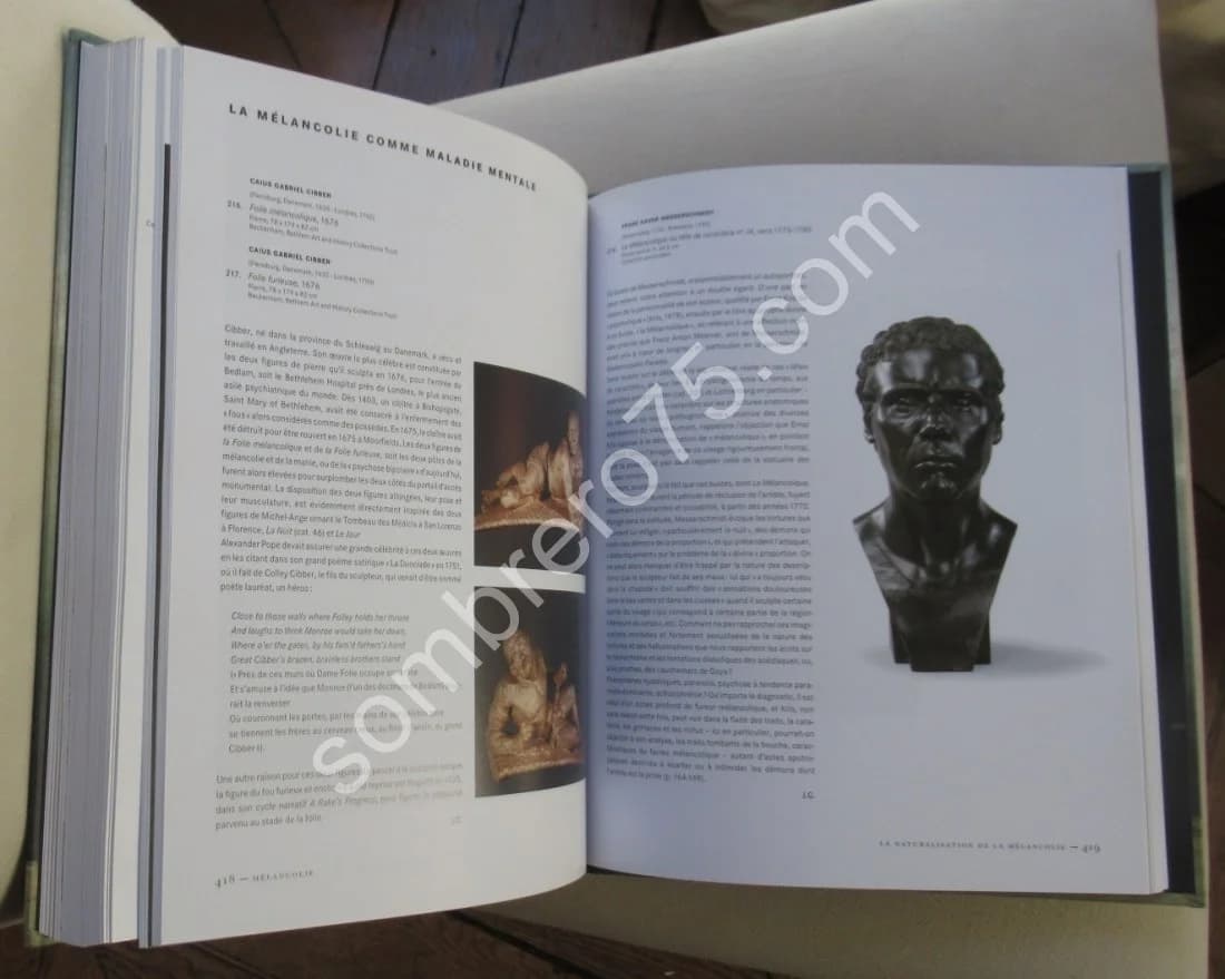 Mélancolie Génie et folie en Occident - Image 6