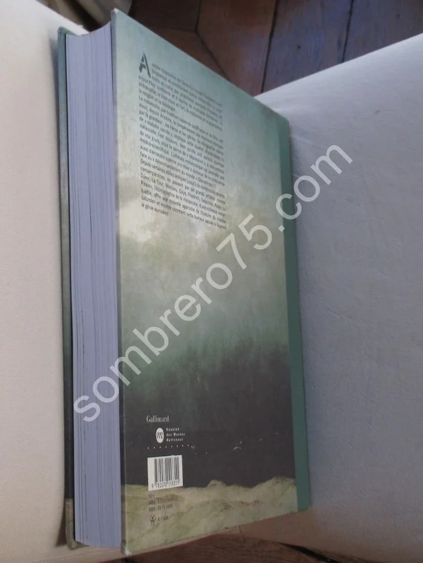 Mélancolie Génie et folie en Occident - Image 7