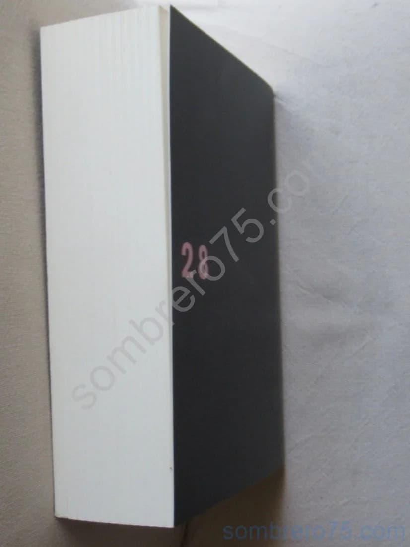 L'Homme qui arrêta d'écrire. Marc Edouard NABE - Image 4