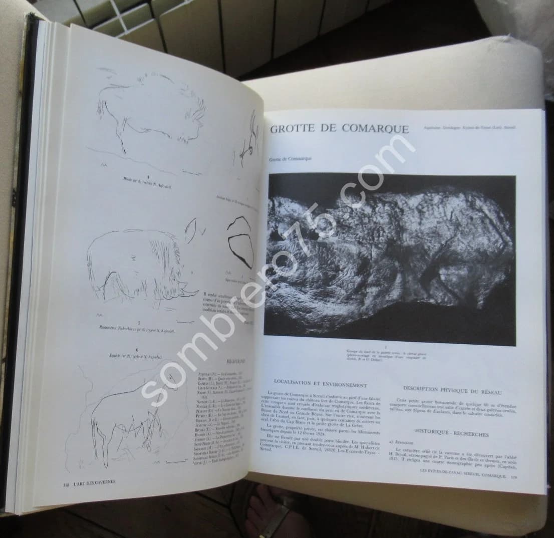 L'Art des Cavernes - Atlas des Grottes ornées Paléothiques Françaises - Image 6