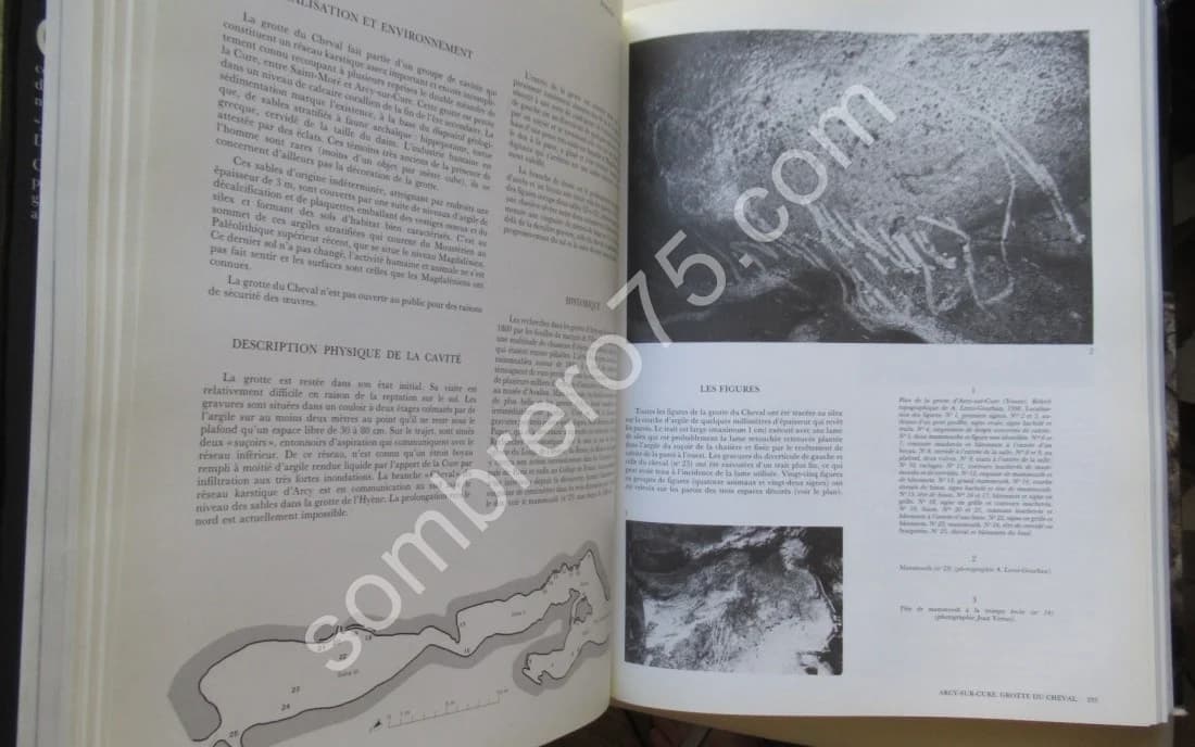 L'Art des Cavernes - Atlas des Grottes ornées Paléothiques Françaises - Image 8