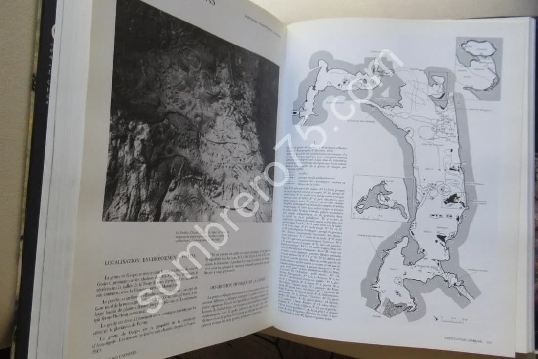 L'Art des Cavernes - Atlas des Grottes ornées Paléothiques Françaises - Image 9