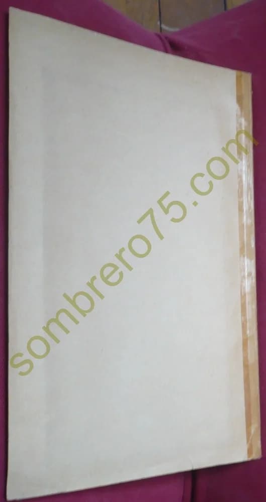 Etude de l'Avalanche des Pèlerins (Chamonix) 1924. H LAGOTALA - Image 6