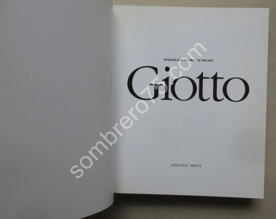 GIOTTO. Francesca FLORES D'ARCAIS - Image 3