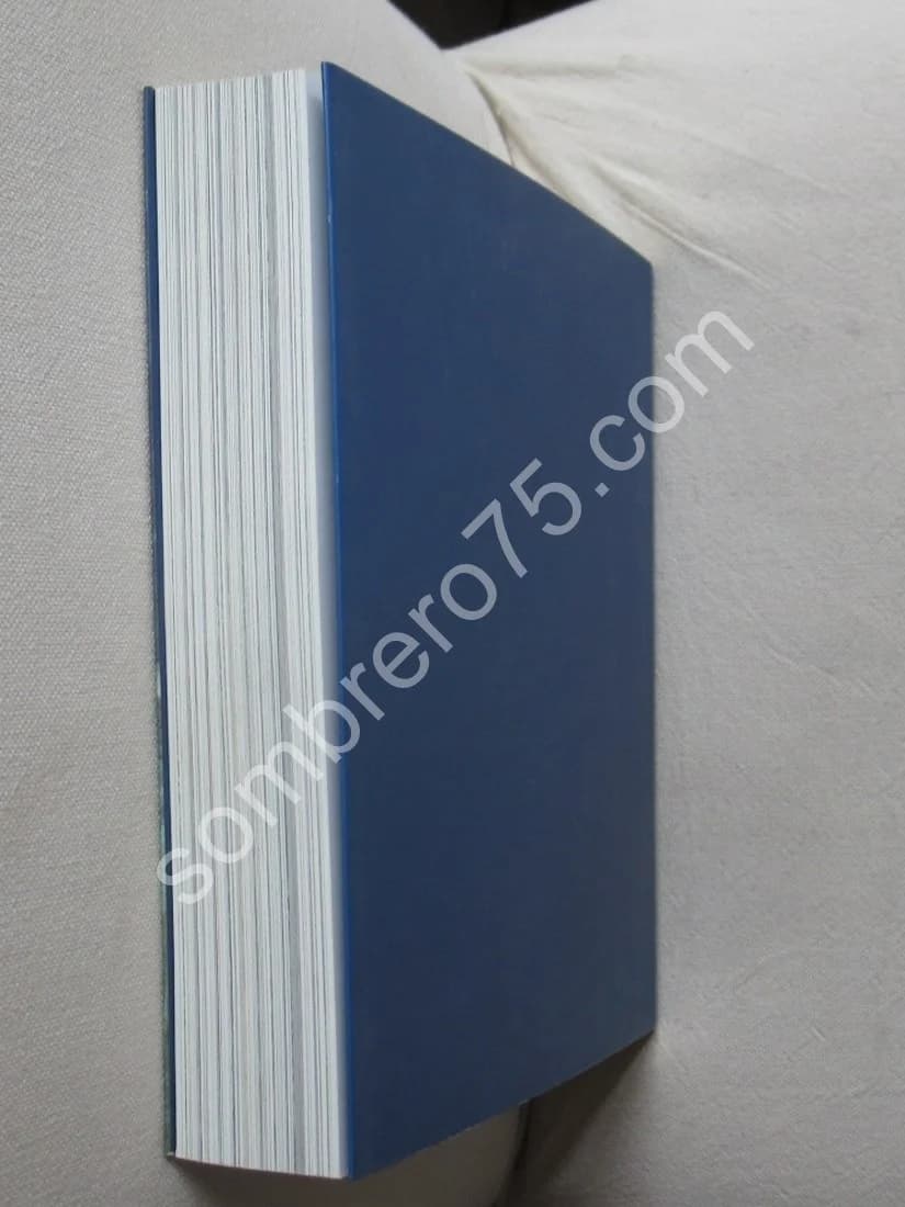 GIOTTO. Francesca FLORES D'ARCAIS - Image 8