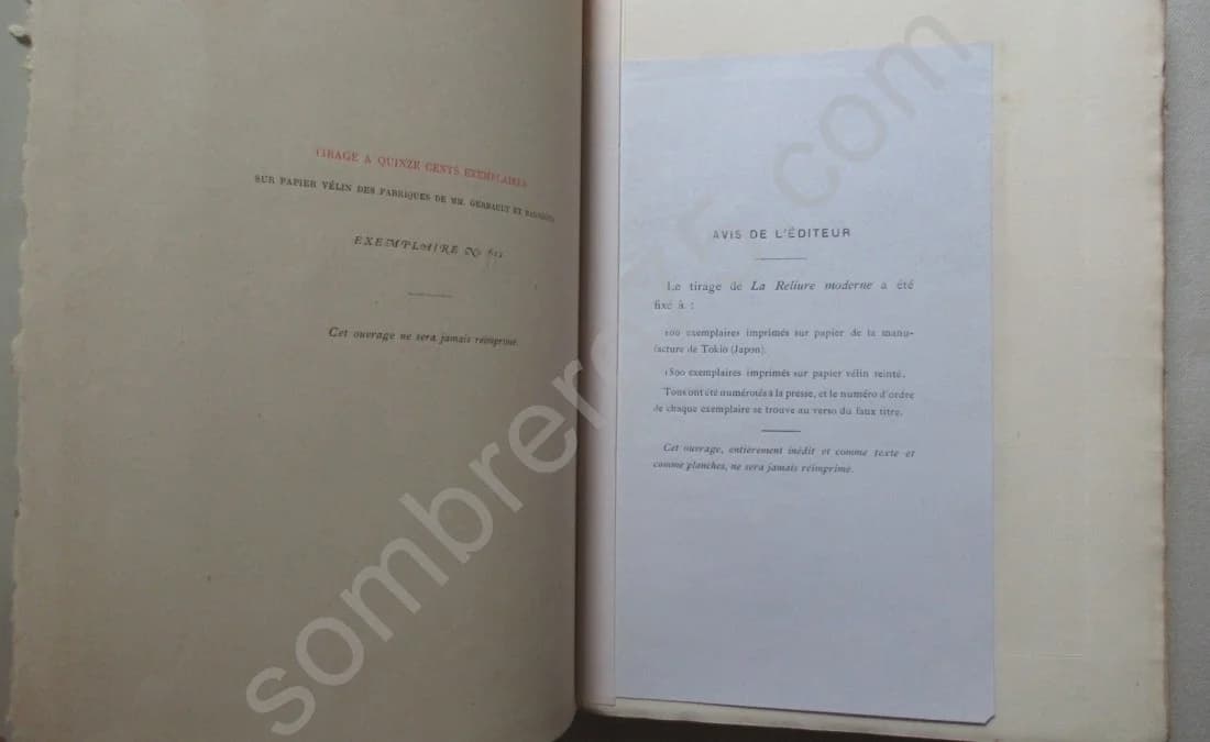 La Reliure Moderne Artistique et Fantaisiste - Image 3