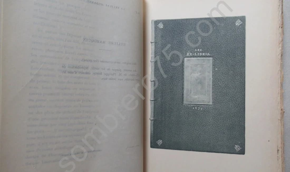 La Reliure Moderne Artistique et Fantaisiste - Image 5