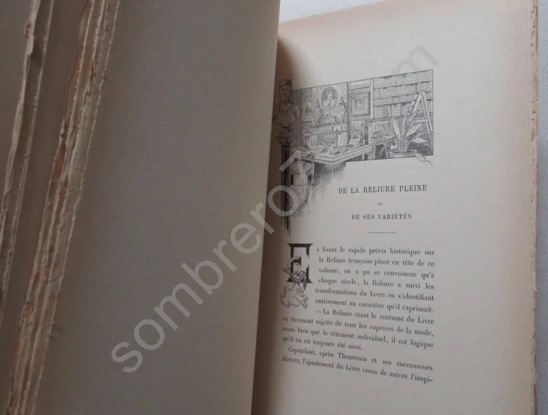 La Reliure Moderne Artistique et Fantaisiste - Image 6