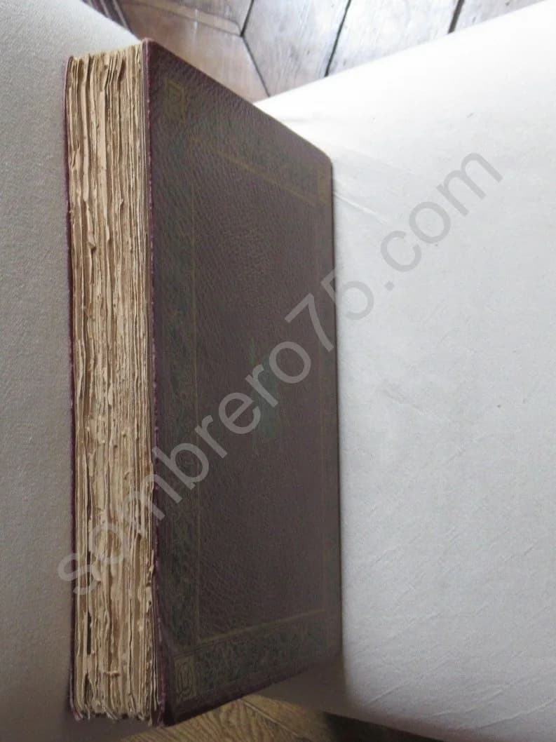 La Reliure Moderne Artistique et Fantaisiste - Image 9