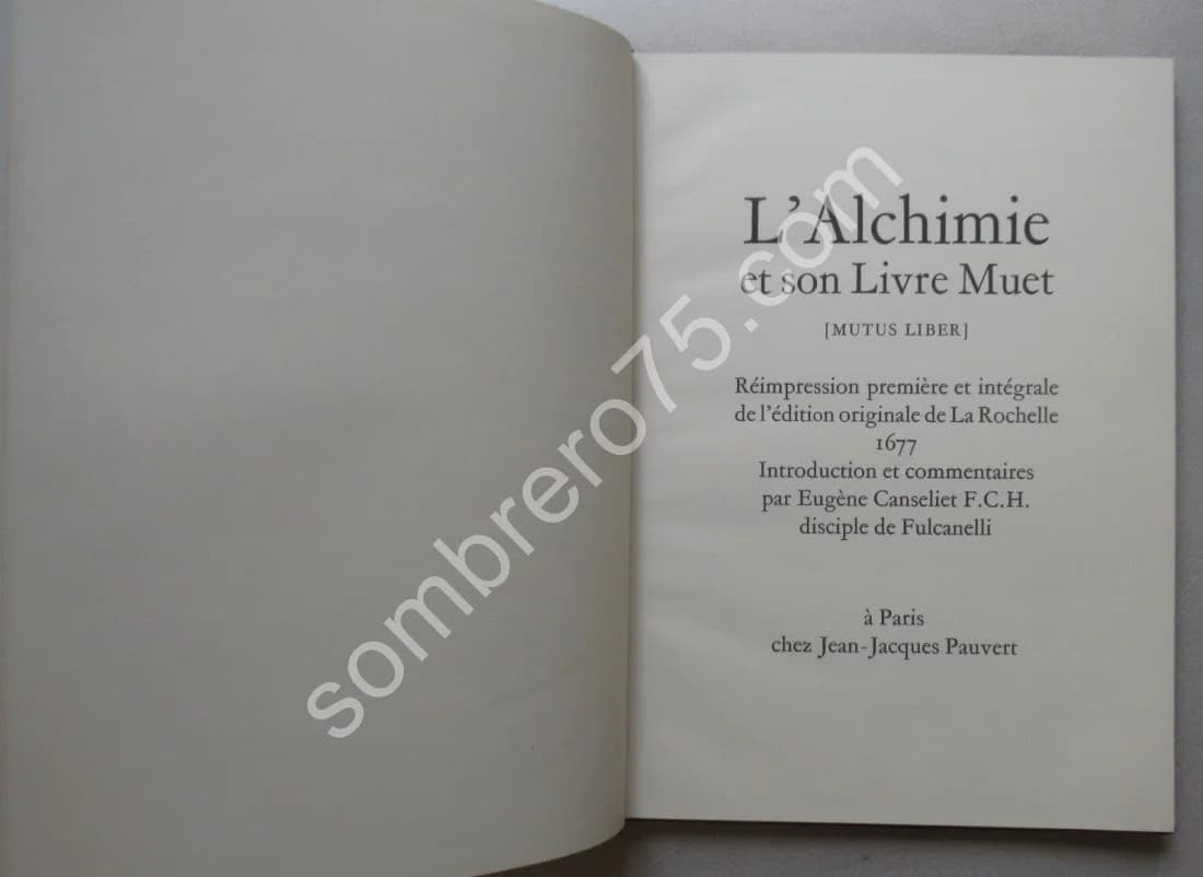L'Alchimie et son Livre Muet - Mutus Liber - Image 3