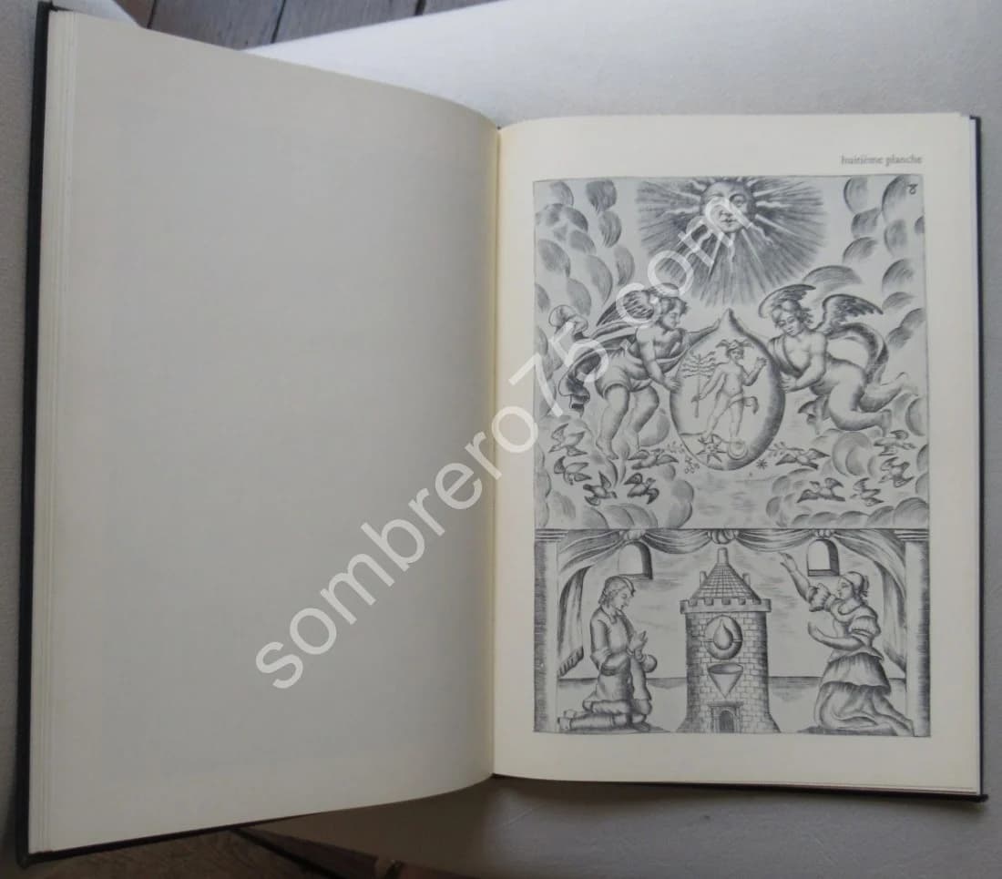 L'Alchimie et son Livre Muet - Mutus Liber - Image 5