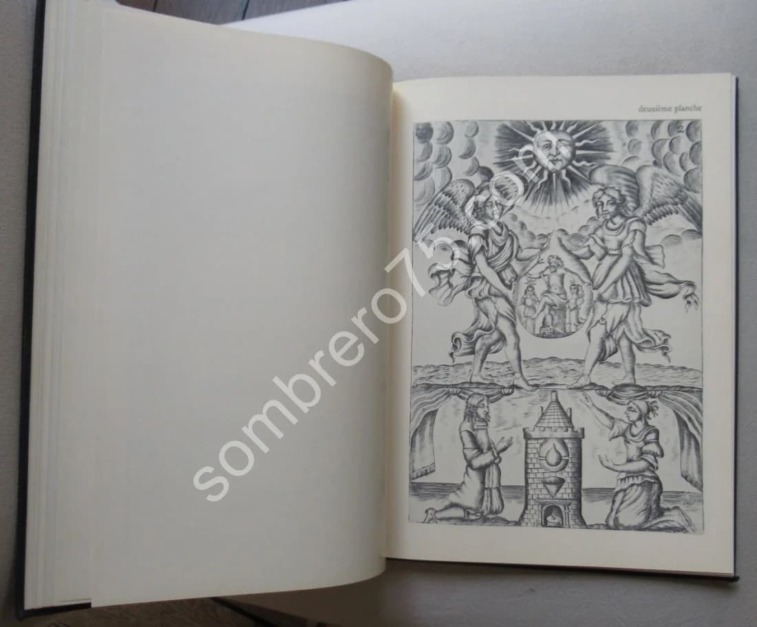 L'Alchimie et son Livre Muet - Mutus Liber - Image 6